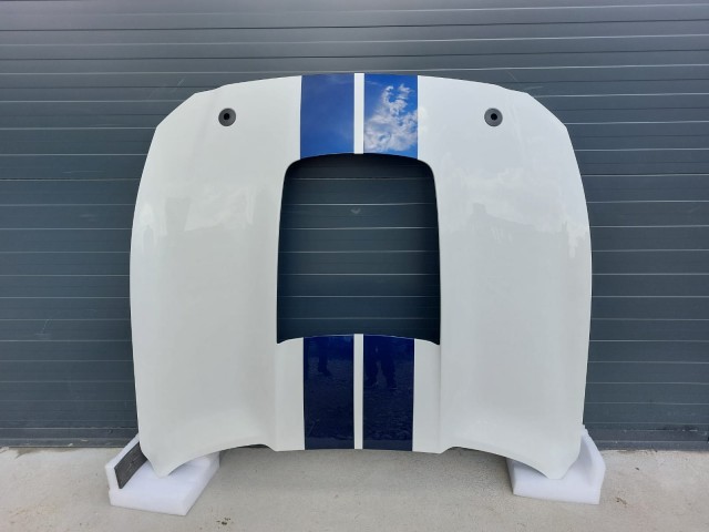 Hood (GT500)